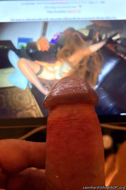 Photo of a ram rod from Leonhard