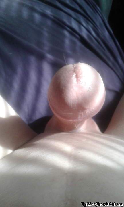 Beautiful photo love how the light shining on that dick&#129