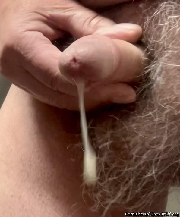 Photo of a cavalier from Cornishman