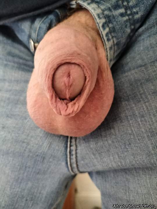 Photo of a stiffie from Alfredo