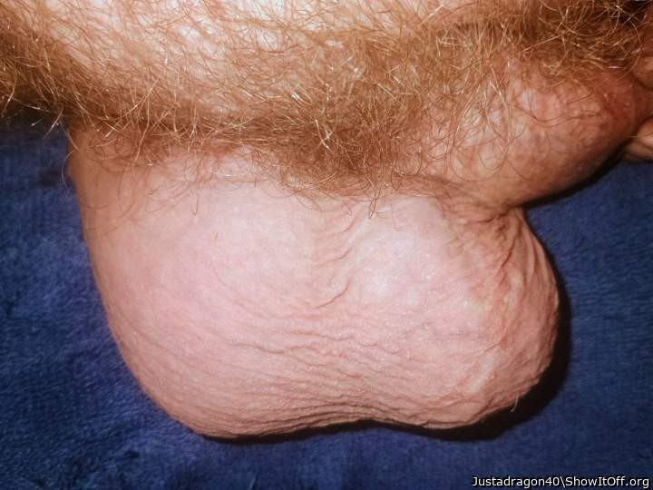 Photo of a short leg from Justadragon40