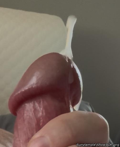 Photo of a wiener from Sunytemple