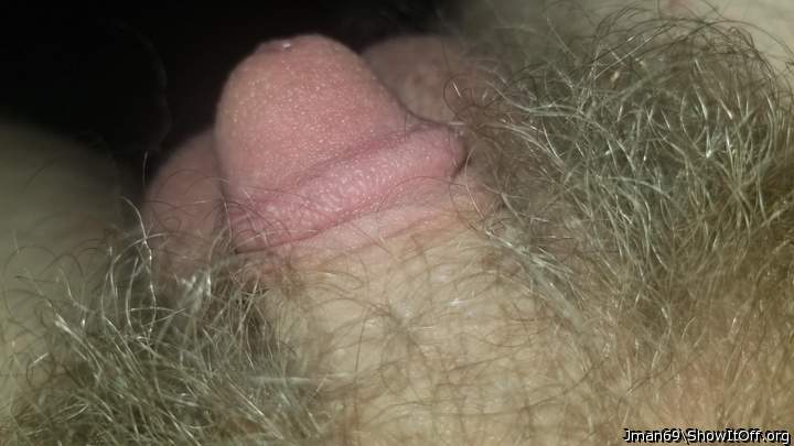 I like hairy dicks 