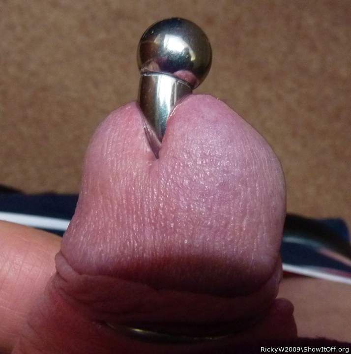 Awesome pierced cock!     