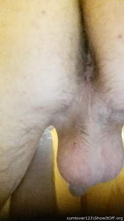 like to lick your balls and ass