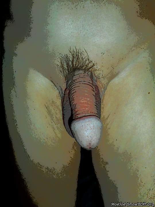 An Artistic Rendering of the Penis of MoeJoe