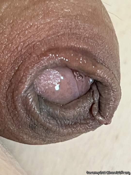 Photo of a schlong from ilovemydick