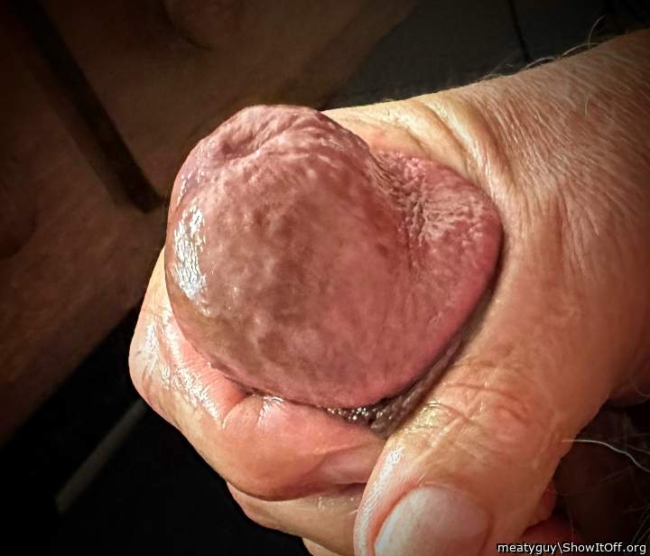 Photo of a bald-headed mouse from meatyguy