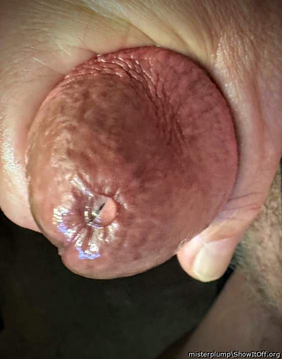 Photo of a power tool from misterplump