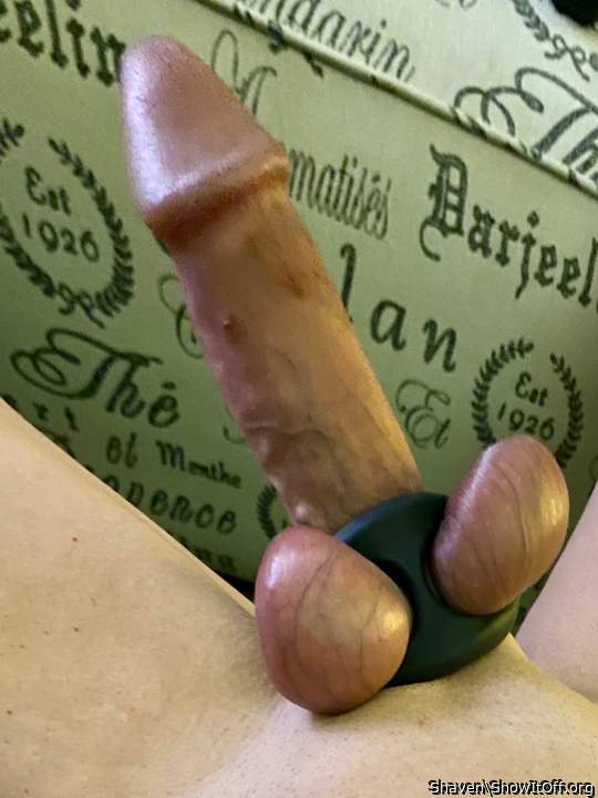 Photo of a stiffie from Shaven