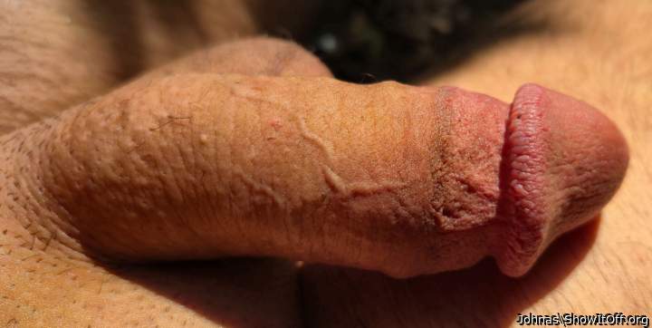 Photo of a lizard from Johnas