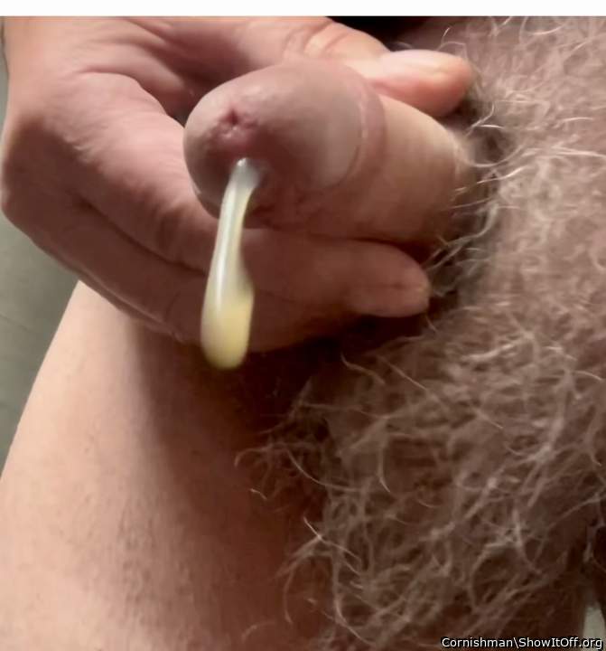 Photo of a pecker from Cornishman