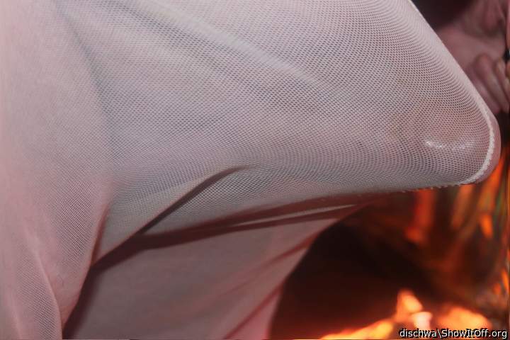 Photo of a boner from dischwa