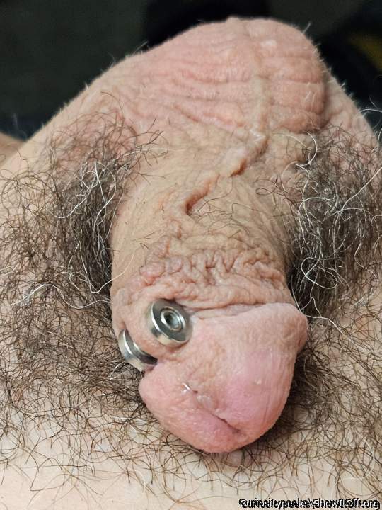 Photo of a schlong from Curiositypeeks