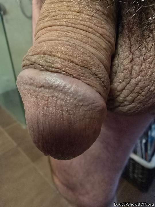 Photo of a bat from DougJ