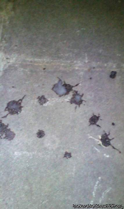 Sperm on the ground in public 2