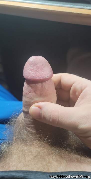 Photo of a cock from RayNoble