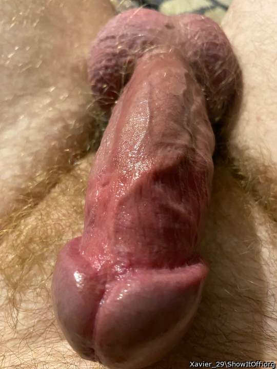Photo of a short leg from Xavier_29