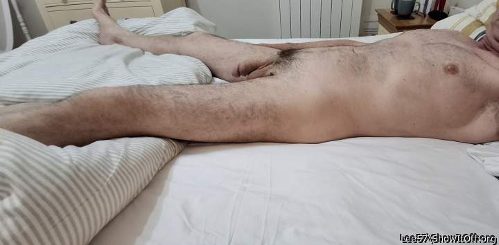 Photo of a bat from Lee57