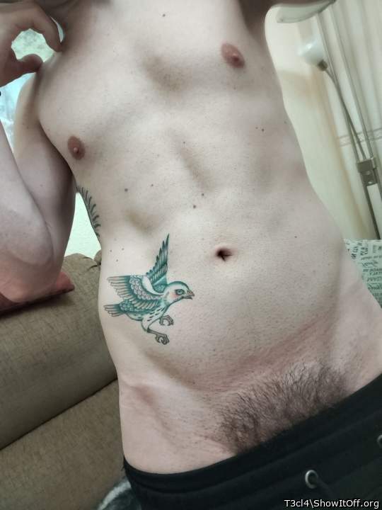 Photo of a snake from T3cl4