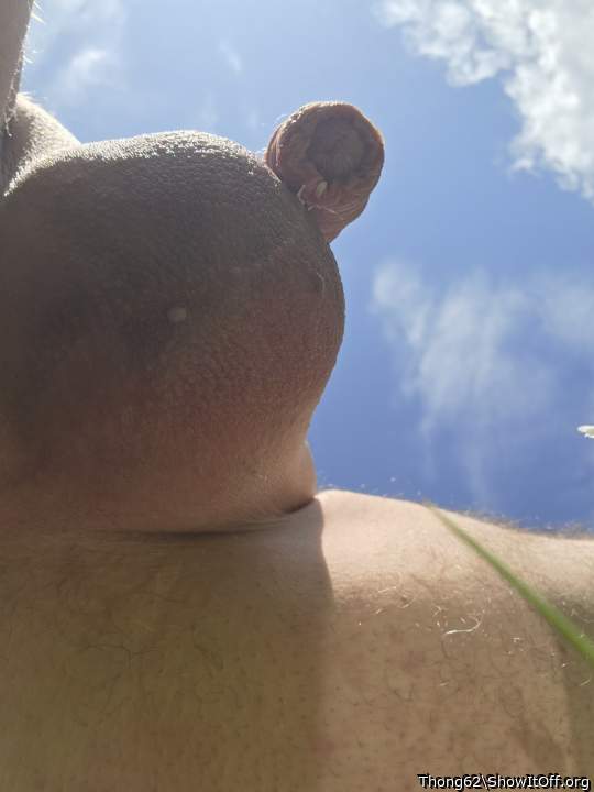 Photo of a stiffie from Thong62