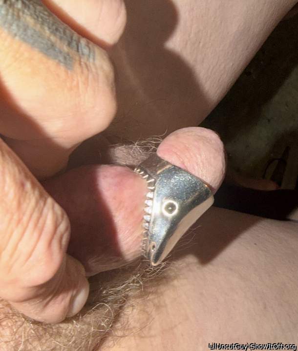 Adult image from LilUncutGuy