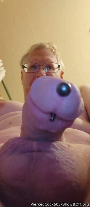 Photo of a cavalier from PiercedCock503