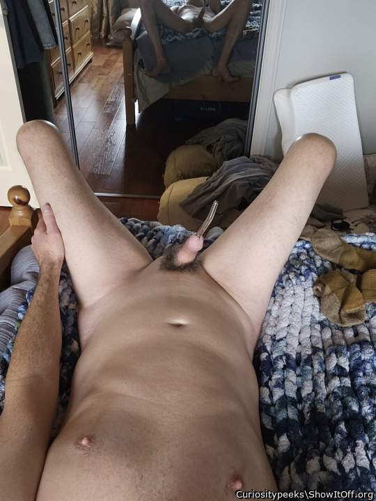 Photo of a phallus from Curiositypeeks