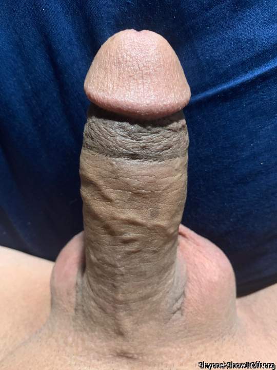 Shaved penis