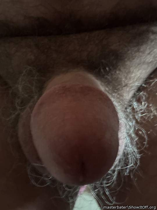 Photo of a weasel from masterbater