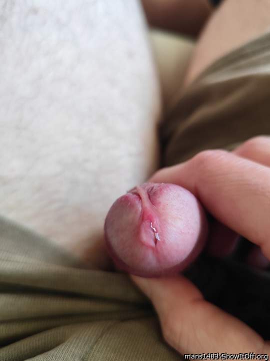 Lick my pre cum