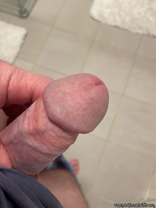Photo of a horn from Harpo
