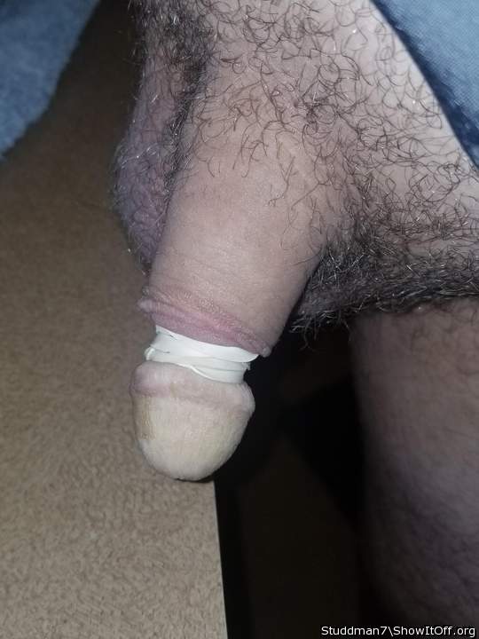 Photo of a penis from Studdman7