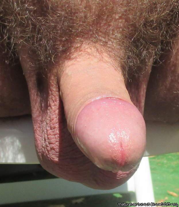 Such a classical hairy and beautiful cock and pink balls.   