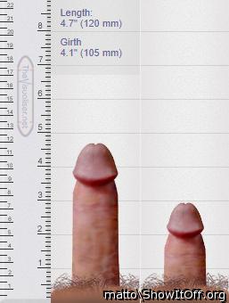 actual measurement erect and flaccid