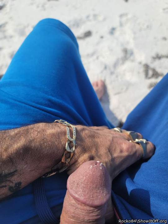 Photo of a lizard from Rocko84