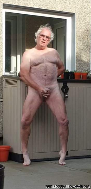 Photo of a bat from sambloggs