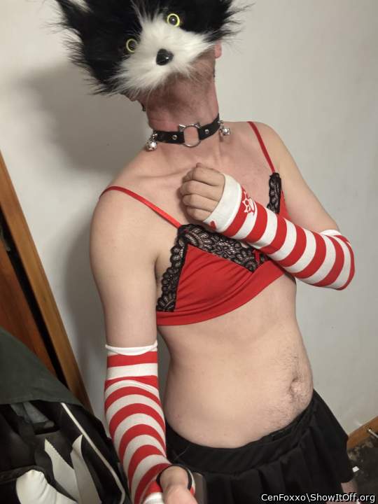 Adult image from CenFoxxo