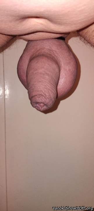 Testicles Photo from sanok