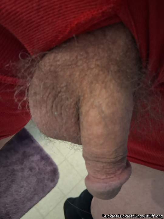 Photo of a rooster from SuckMeFuckMe