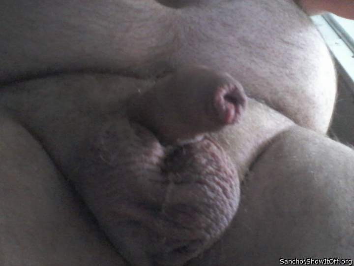 Photo of a boner from Sancho