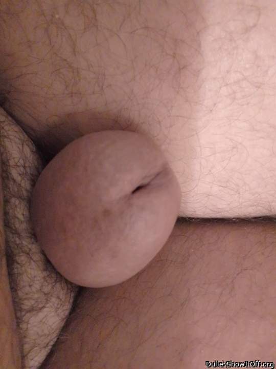 Photo of a ram rod from Dulle