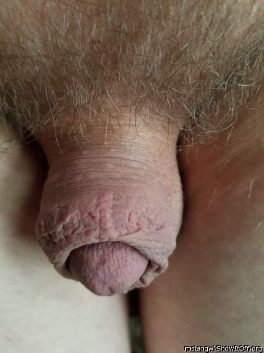 Gorgeous cock, love the pubes. Lets wake him up