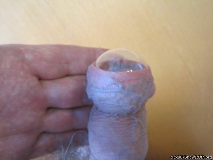 Photo of a penis from Dick88