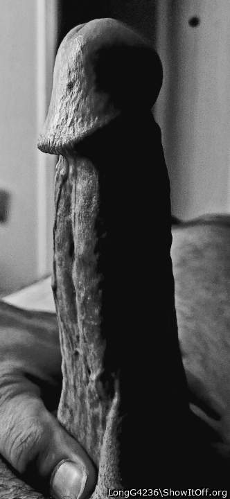 Photo of a snake from LongG4236