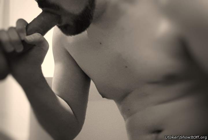 Photo of a stiffie from Utoker