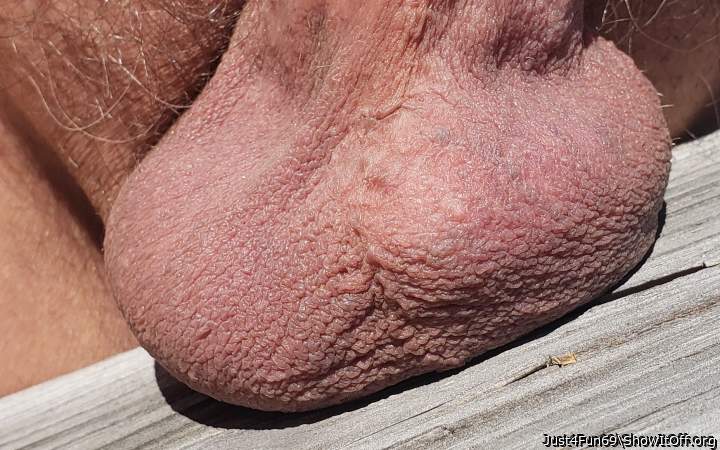 Nice Closeup