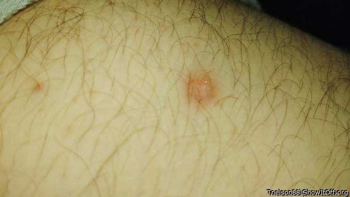 Photo of a dong from Tnelson88