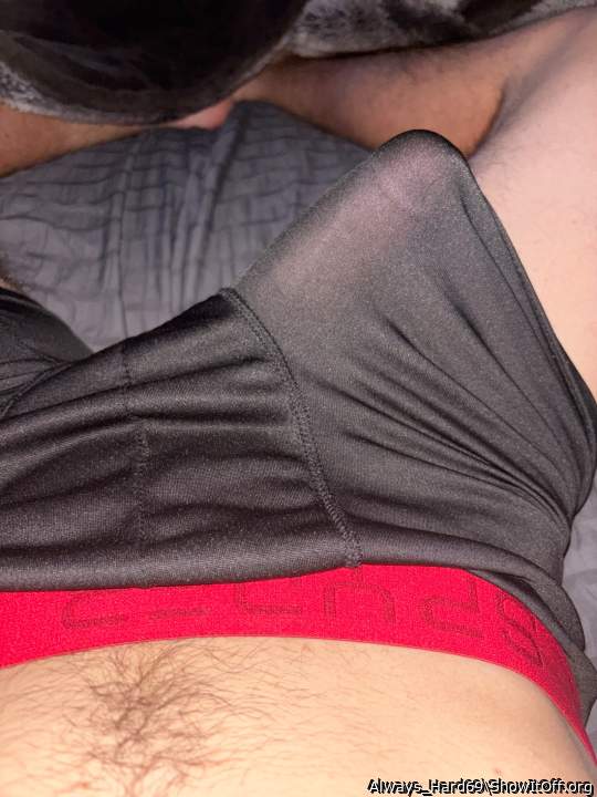 Photo of a short leg from Always_Hard69