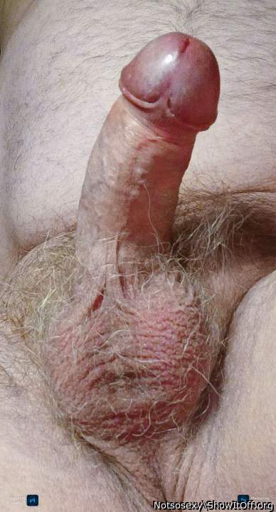 Photo of a cock from Notsosexy